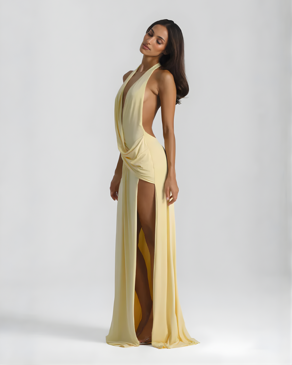 Plunge Halter Backless Maxi Dress