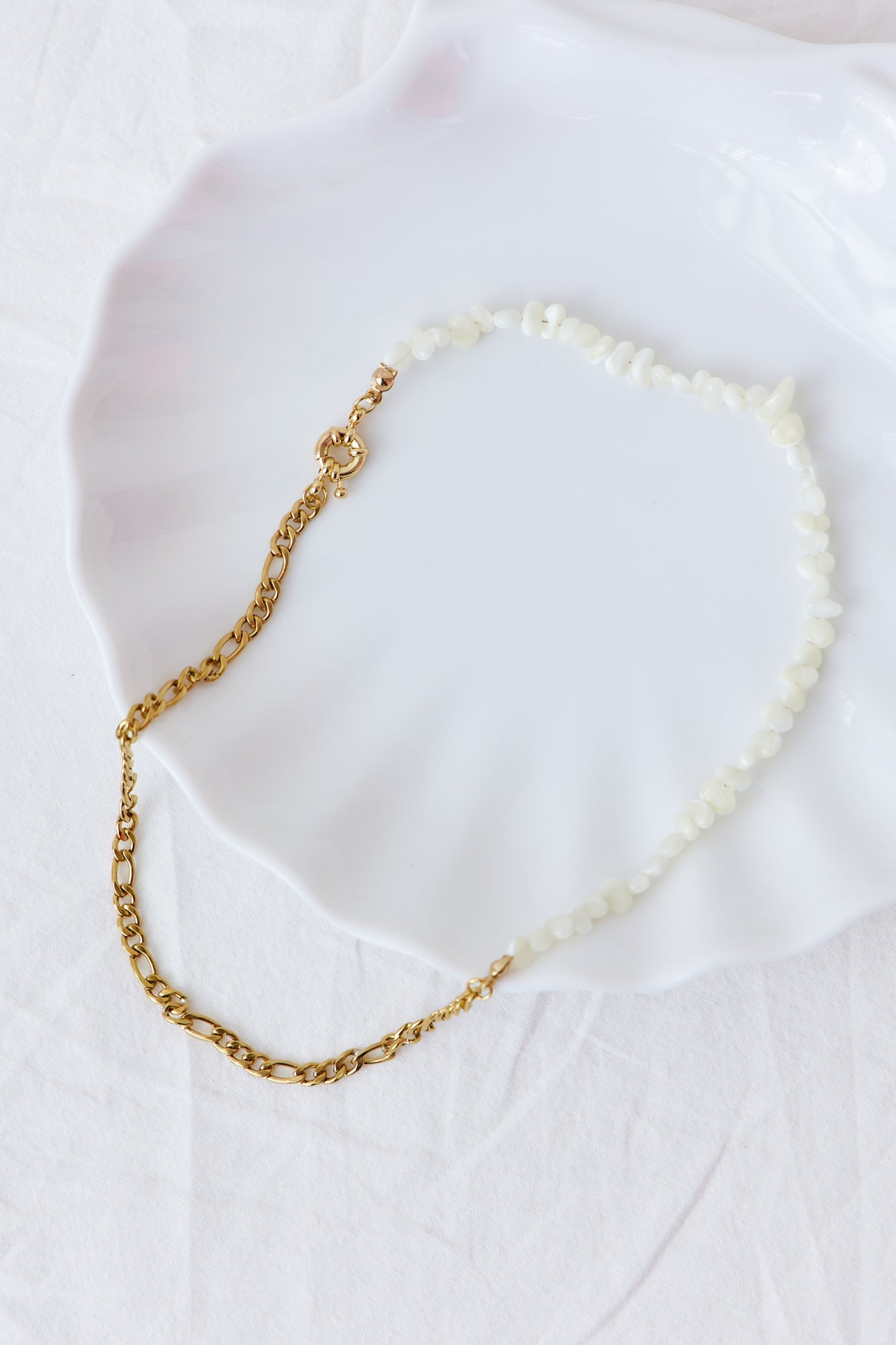 Women's Half Chain Shell Choker Necklace