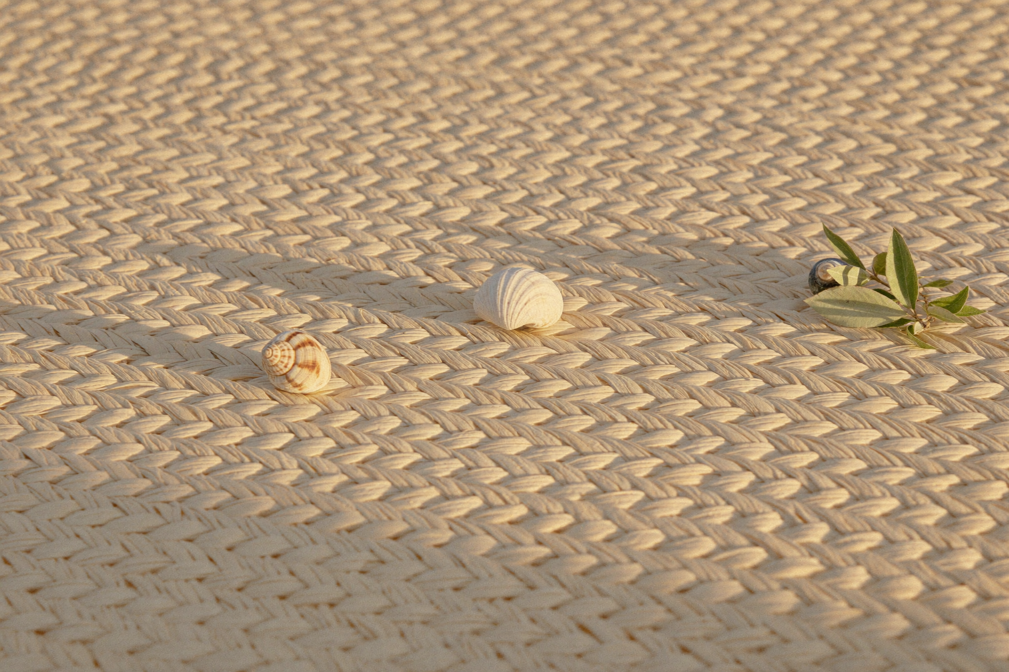 Resort wear flat lay: woven straw texture with seashells for a summer beach holiday