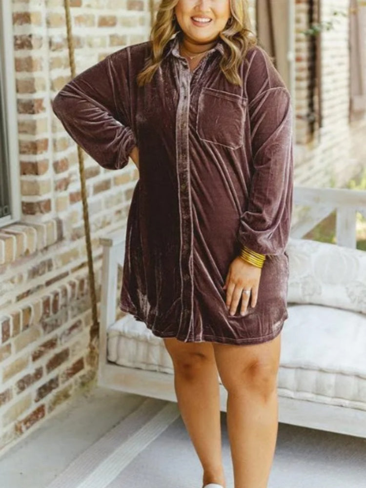 Button-Down Shirt Dress