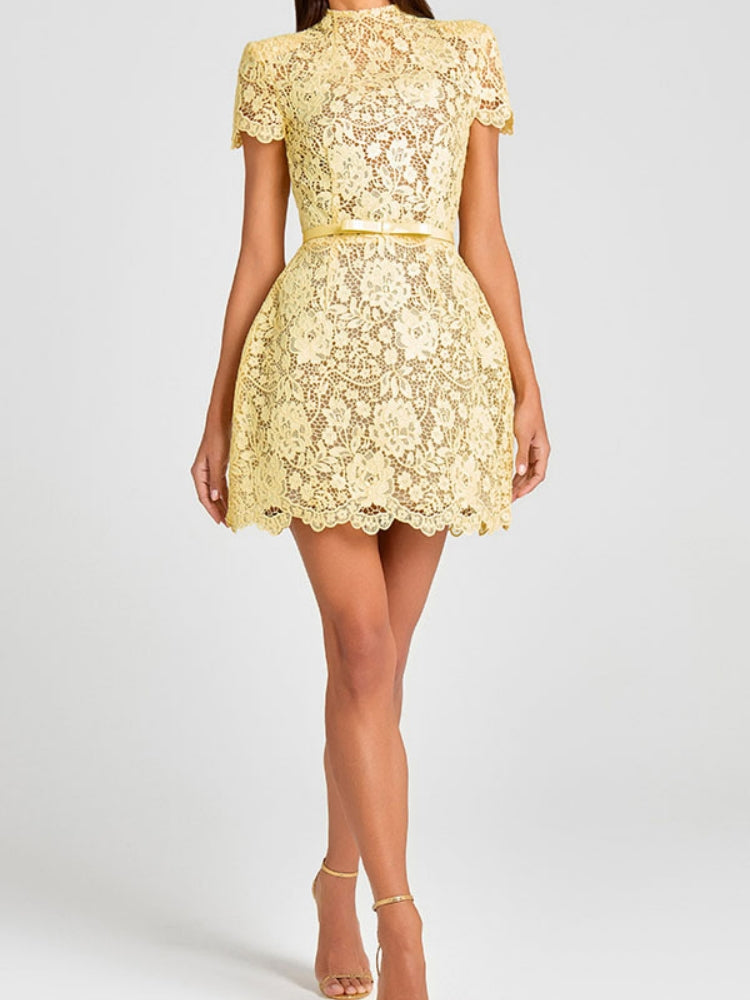 Embroidered Lace Belted Mini Dress
