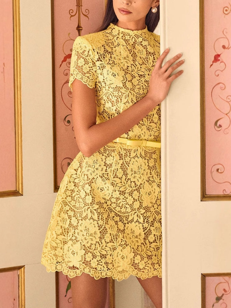 Embroidered Lace Belted Mini Dress
